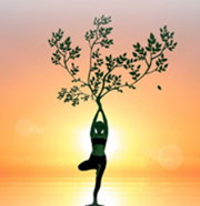 Exploring the therapeutic effects of yoga and its ability to increase quality of life Ayurahaar